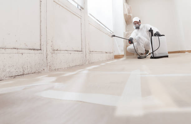 24/7 Emergency Mold Remediation experts in Jefferson, MD